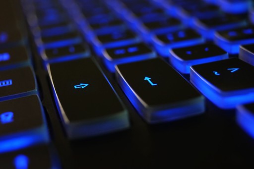 Software Customization